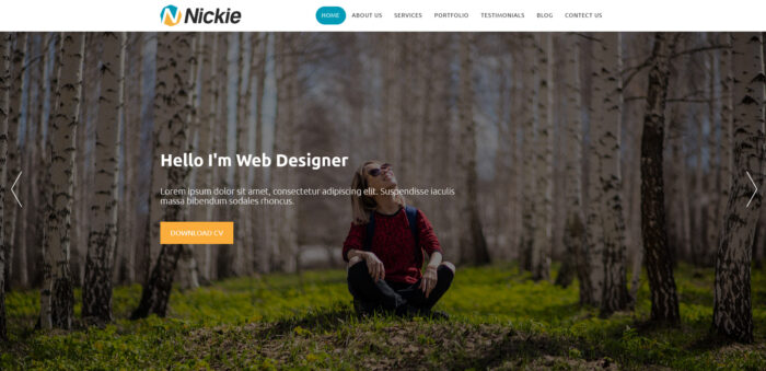 nickie free personal portfolio onepage html template