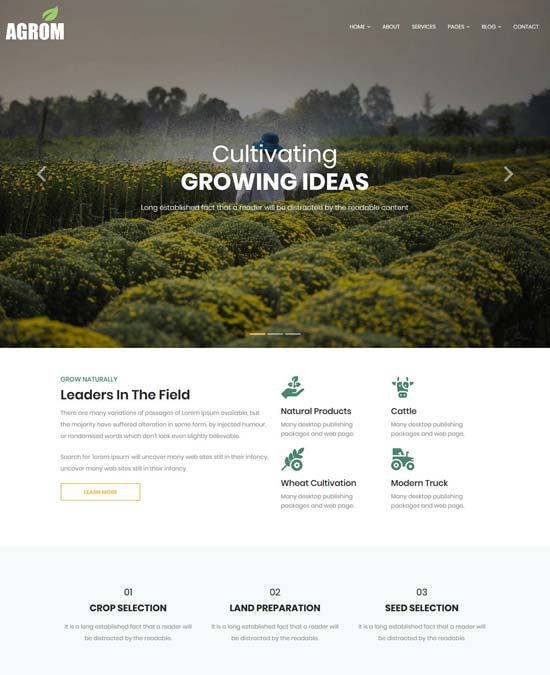 agrom agriculture food html template