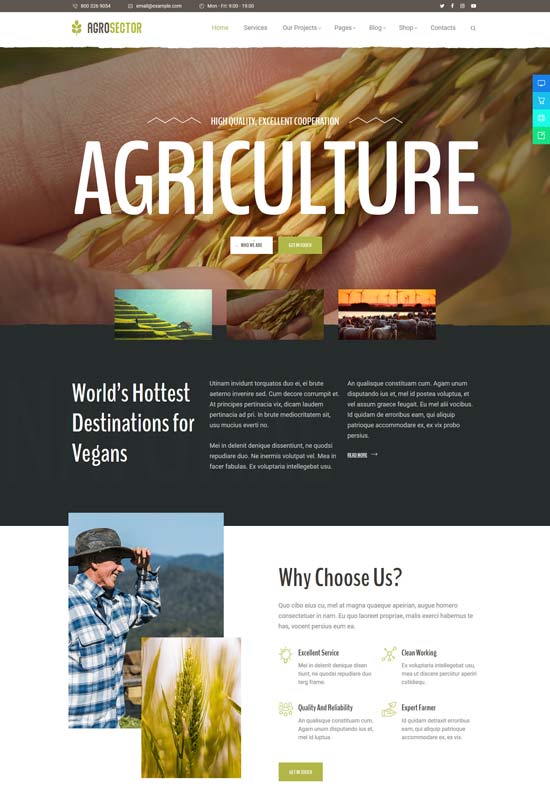 agrosector agriculture wordpress theme