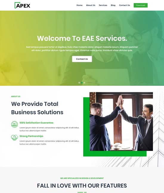 apex business screen theme