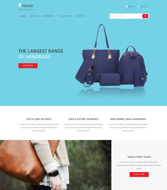 baggage free ecommerce bootstrap template
