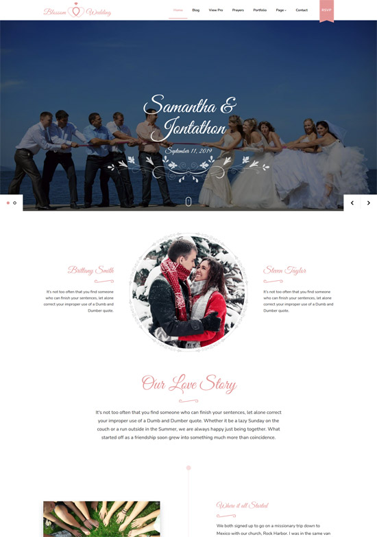 blossom free wordpress theme