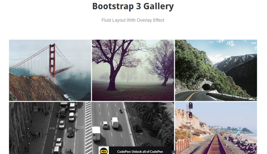 bootstrap gallery