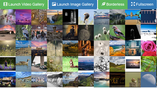 bootstrap video gallery