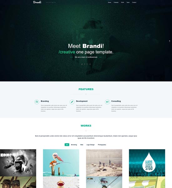 brandi html template