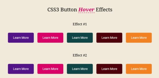 css button hover effects
