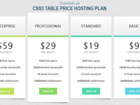 CSS3 HTML Table Price Web Hosting Templates