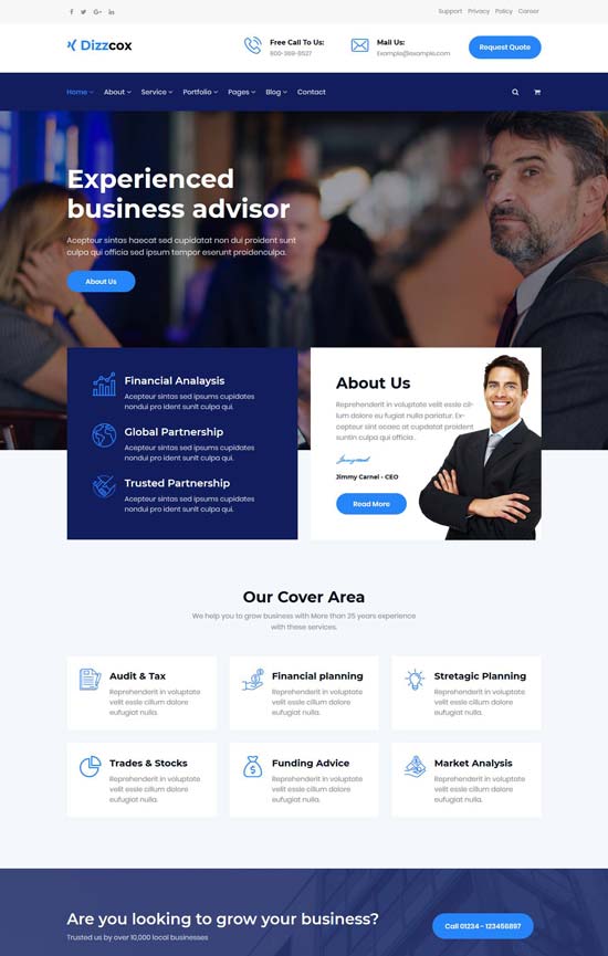 dizzcox business consulting template