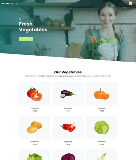 45+ Best Free eCommerce Website Templates 2024 - freshDesignweb