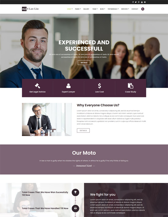 eightlaw lite free lawyer wordpress theme