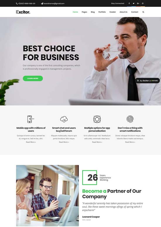 excitor business consulting wordpress themes