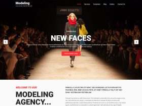 Free Fashion Model Lifestyle WordPress Themes