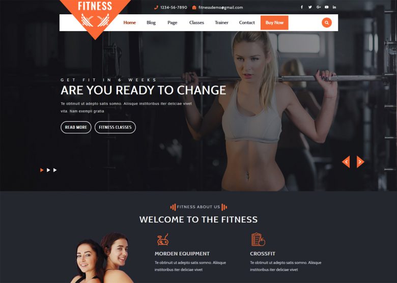 Free Gym Fitness WordPress Themes
