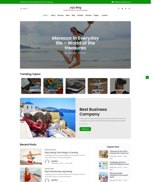 free juju blog wordpress theme