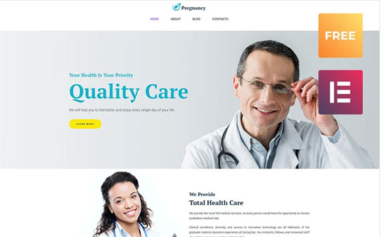 free pregnancy wordpress theme