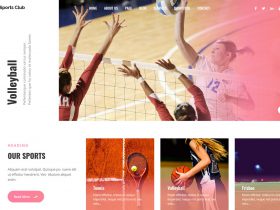 Free Sports WordPress Themes
