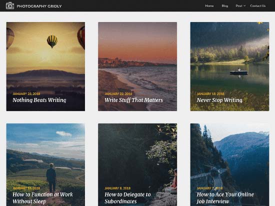 image gridly free wordpress photography