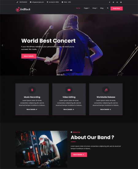 23 Best Free Music WordPress Themes 2024 – freshDesignweb