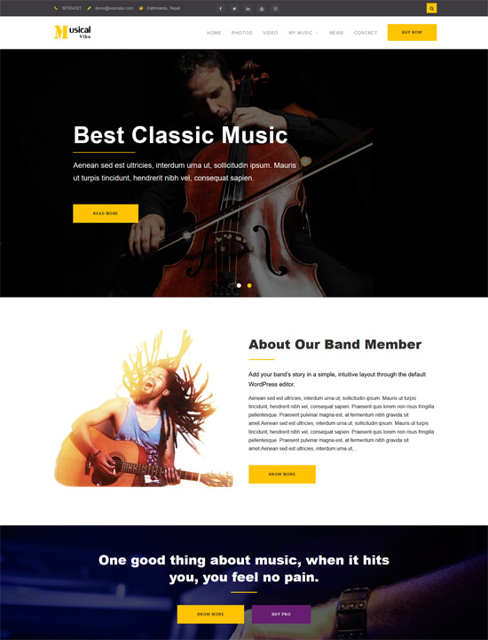 musical vibe free wordpress theme