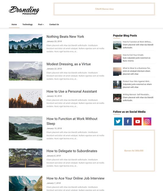 newsly magazine free wordpress theme