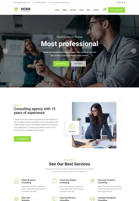 nork business consulting html template