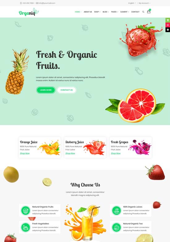 organiq organic food html template