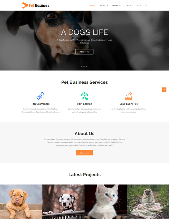 pet business