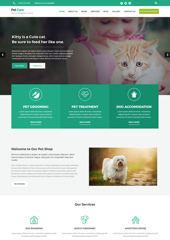 petcare lite