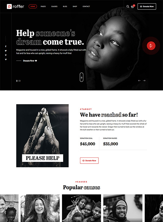 proffer charity html template