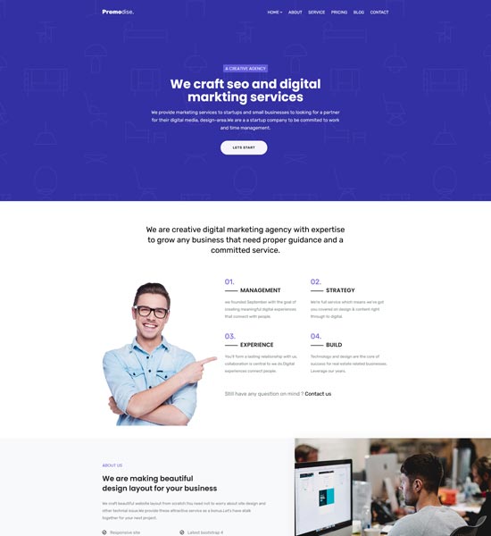 promodise bootstrap template