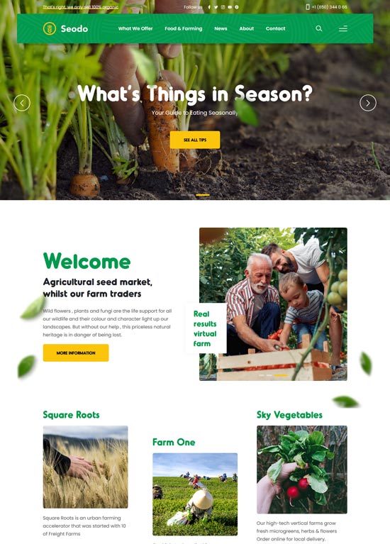 seodo agriculture farming foundation html template