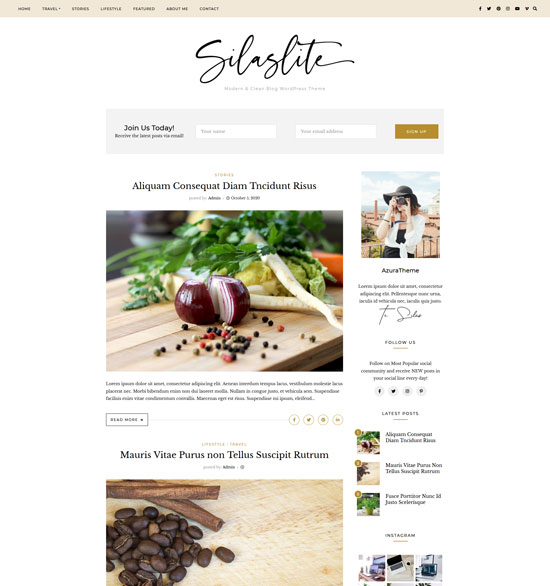 silaslite clean blog wordpress theme