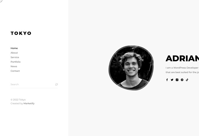 tokyo personal resume wordpress theme