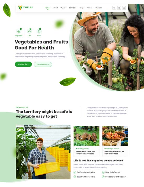 trifles agriculture html template