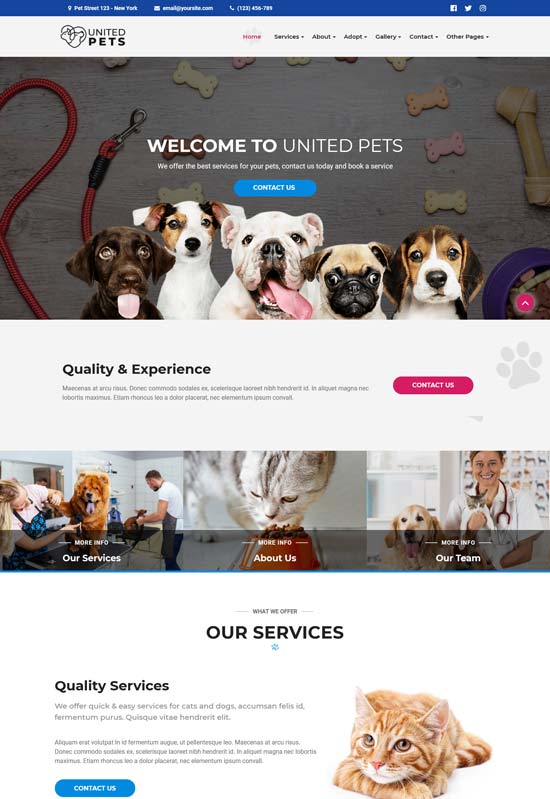 united pets veterinary wordpress theme