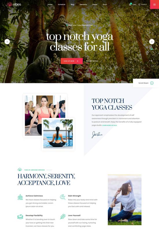 vibes spa html template