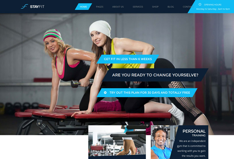 40+ Best Fitness Gym WordPress Themes Free & Premium ...