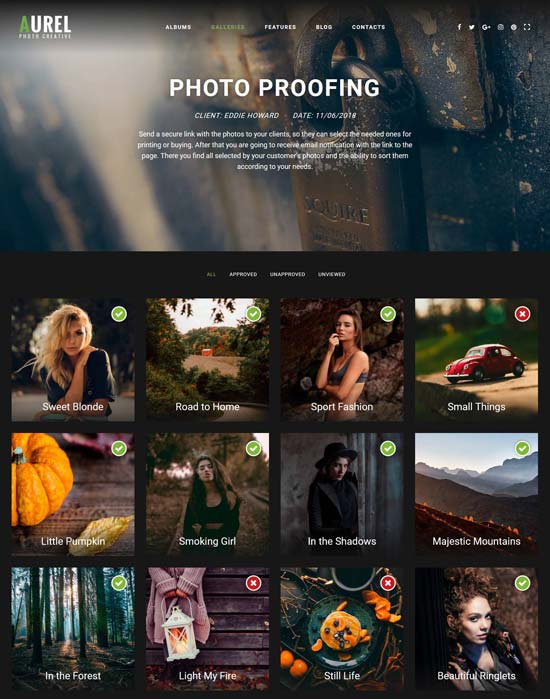 photography website template free download