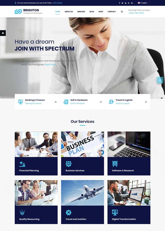 brighton consulting services html template
