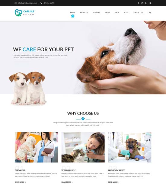 carlisle animal care html template