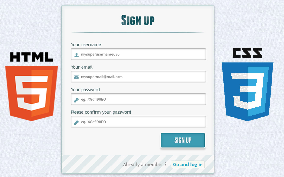 Css3 Reg Forms