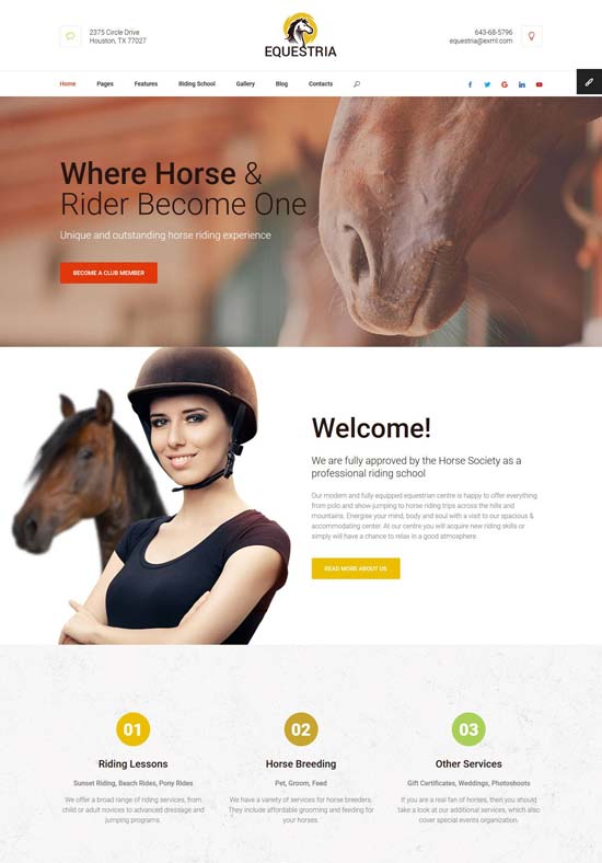 equestria horse club html template