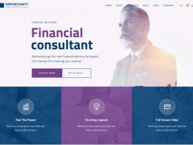 free financial consulting wordpress themes