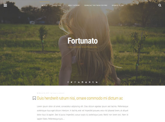 Fortunato modern & minimal free fullscreen WordPress theme