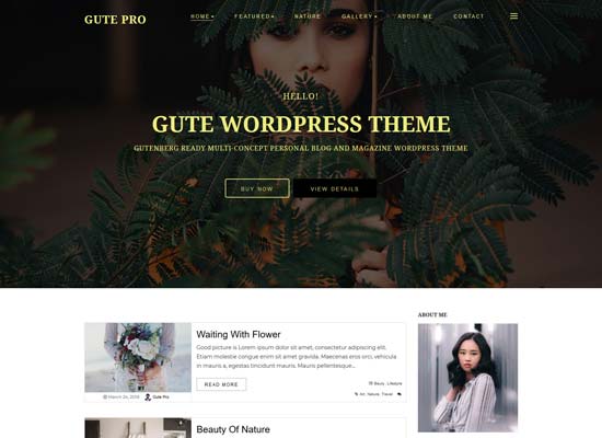 gute full width wordpress theme