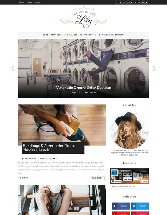 lily fashion blogger template
