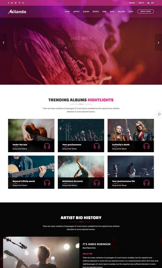 80+ Best Music Website Templates 2021 freshDesignweb