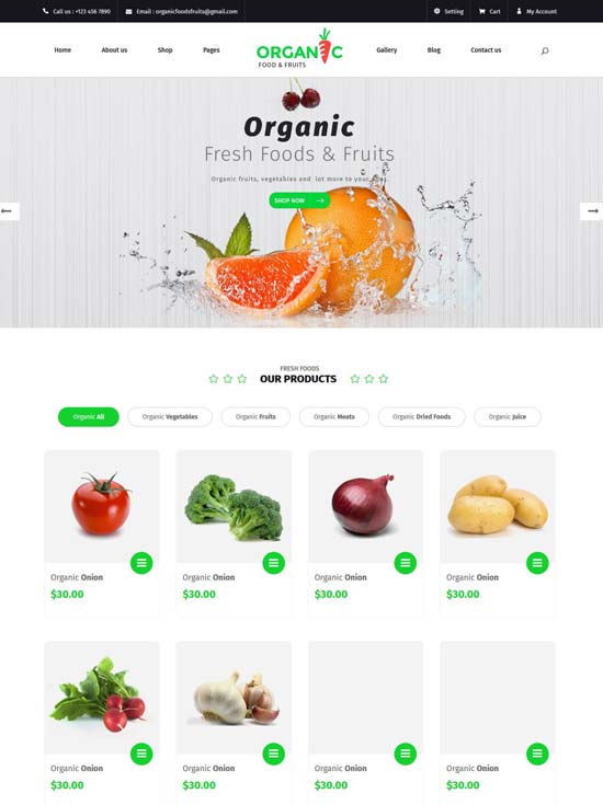 organic food fruits html template