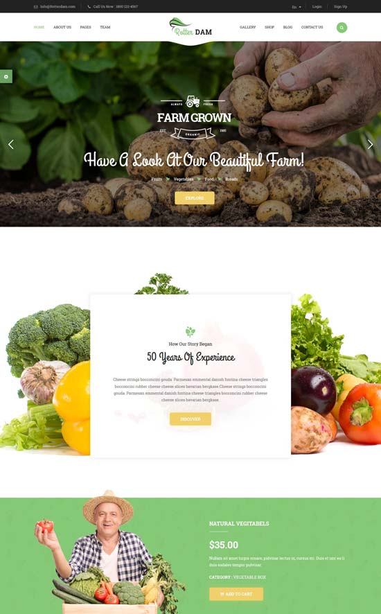 rotterdam organic food html template