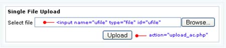 Upload and Rename File